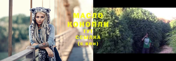 прущие грибы Новодвинск
