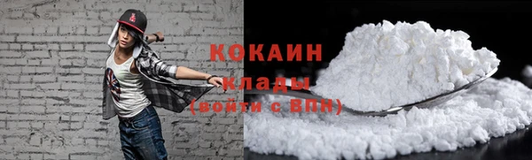 прущие грибы Новодвинск