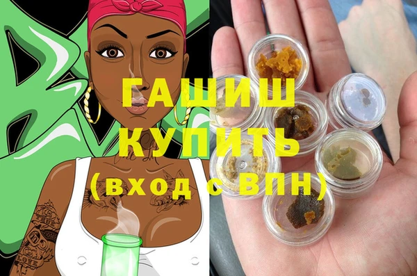 прущие грибы Новодвинск