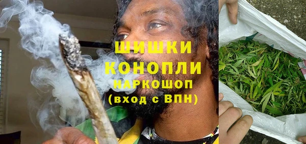прущие грибы Новодвинск