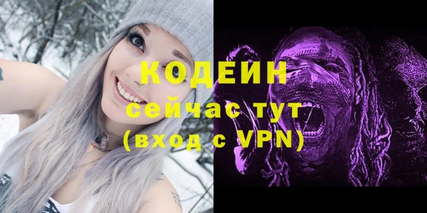 прущие грибы Новодвинск