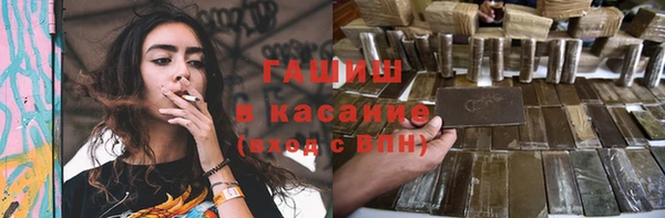прущие грибы Новодвинск