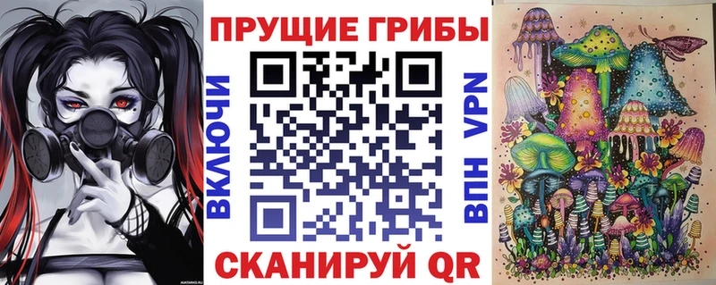 Псилоцибиновые грибы прущие грибы  как найти наркотики  Новоалександровск 