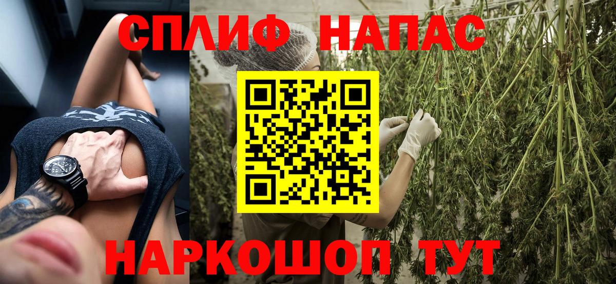 Конопля MAZAR Новоалександровск